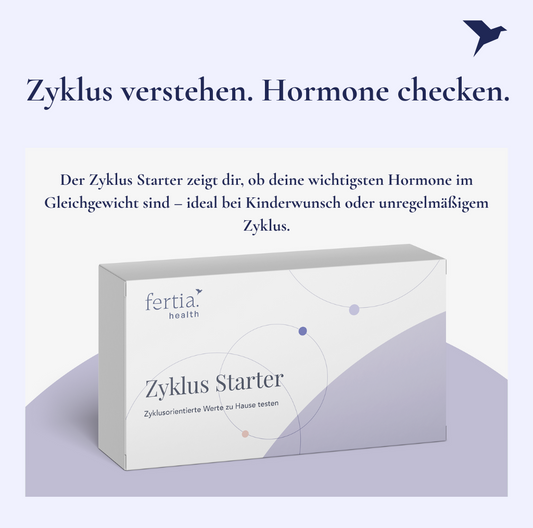 Zyklus Starter