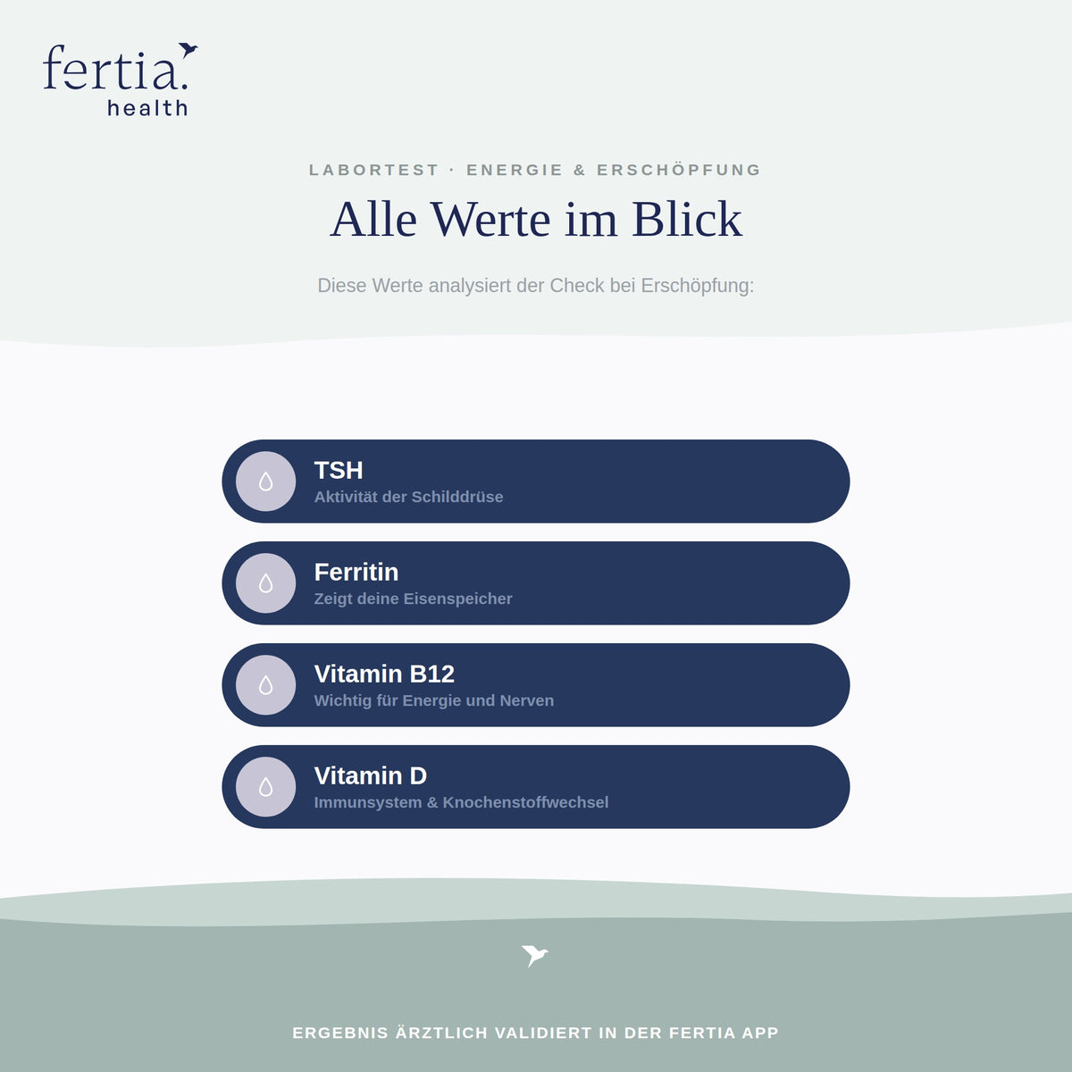 Übersicht der Laborwerte im Check bei Erschöpfung