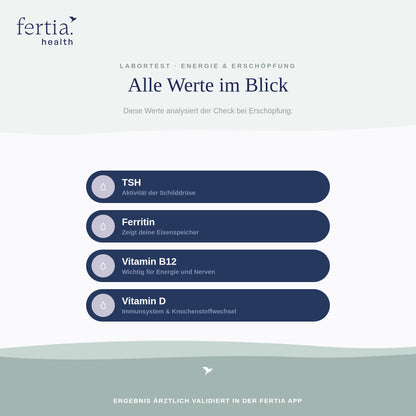 Übersicht der Laborwerte im Check bei Erschöpfung
