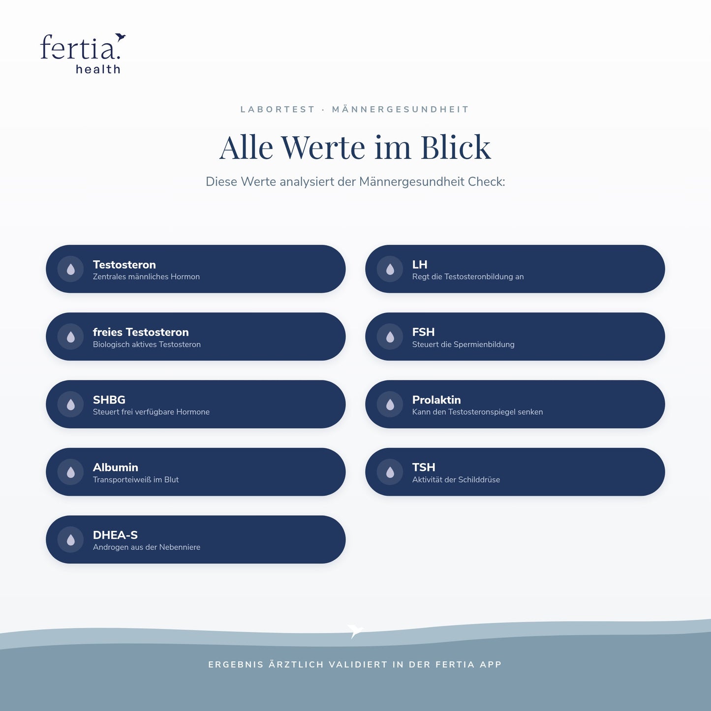 Männergesundheit Check – Hormon-Bluttest für Männer (Test für zuhause)