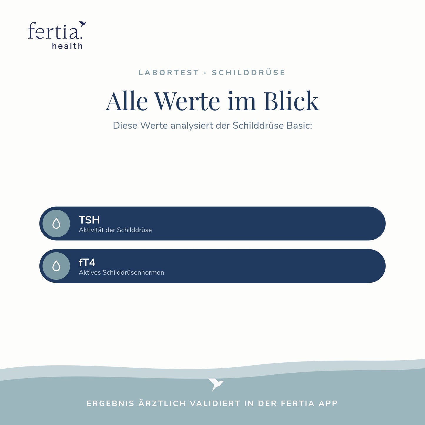 Schilddrüse Check – Bluttest TSH & fT4 (Test für zuhause)