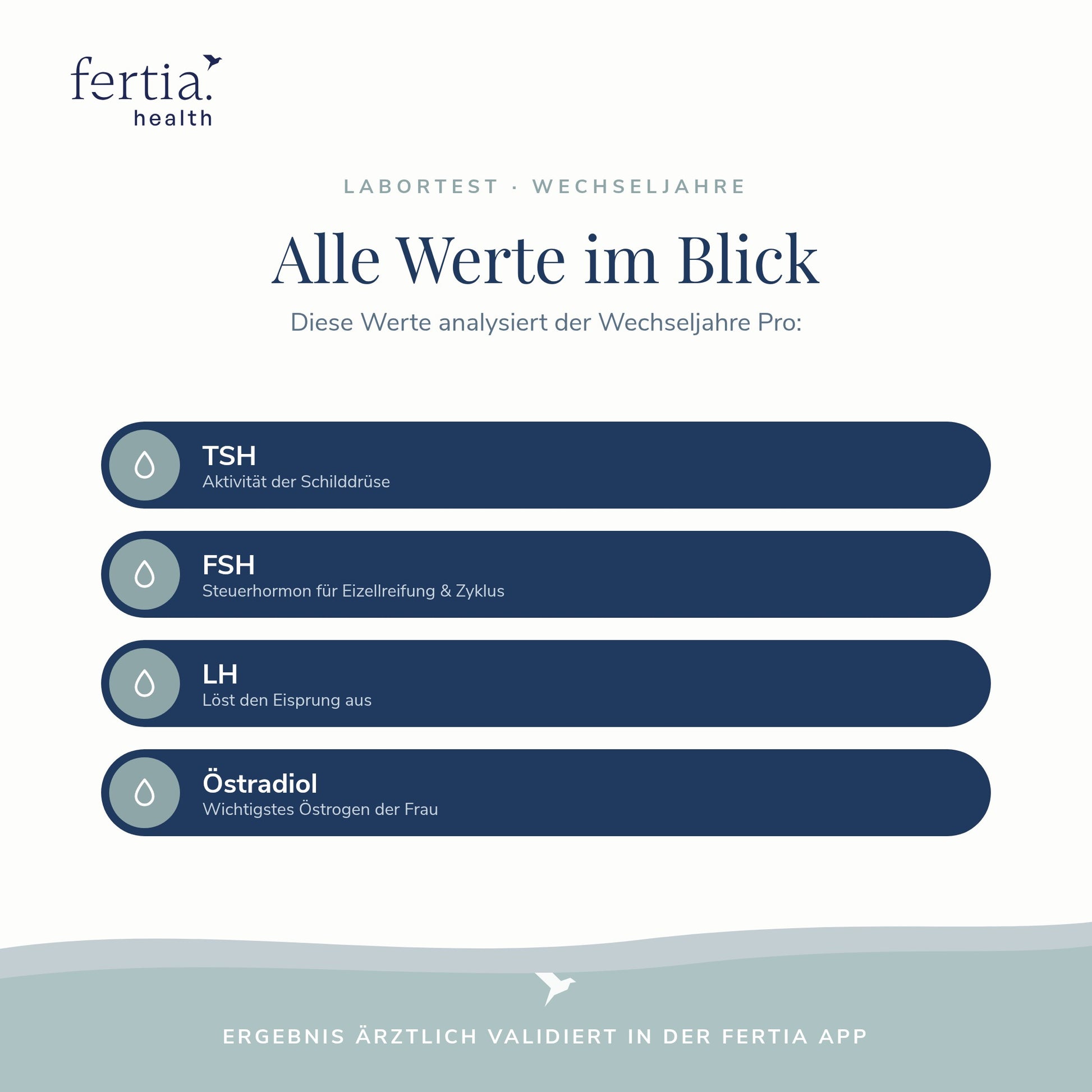 Übersicht der Laborwerte im Wechseljahre Starter