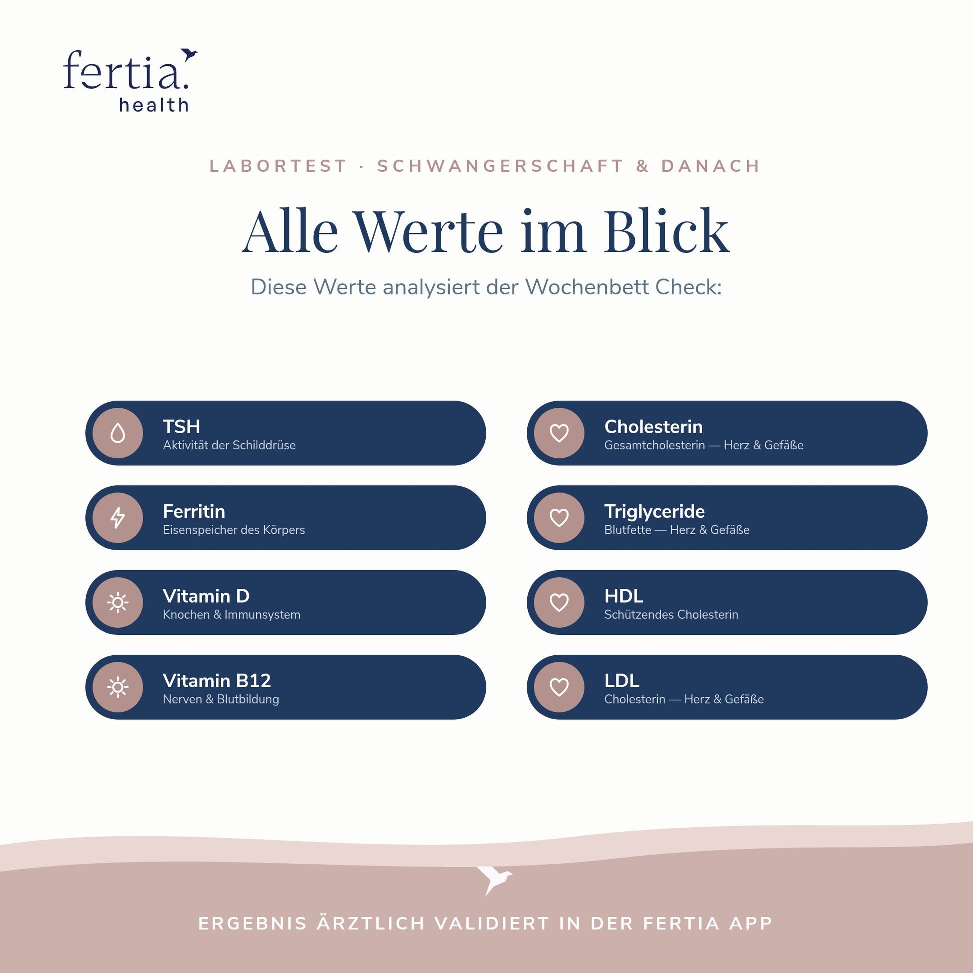 Übersicht der Laborwerte im Check nach dem Wochenbett